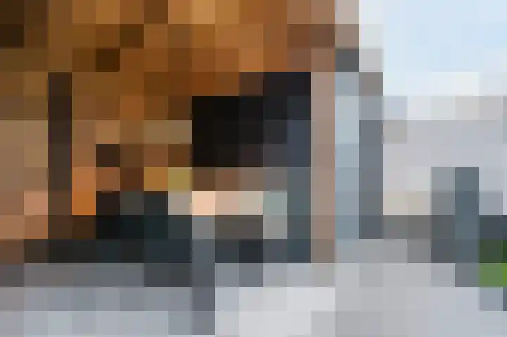 Merensteinplein 4 Beek en Donk thumbnail 40