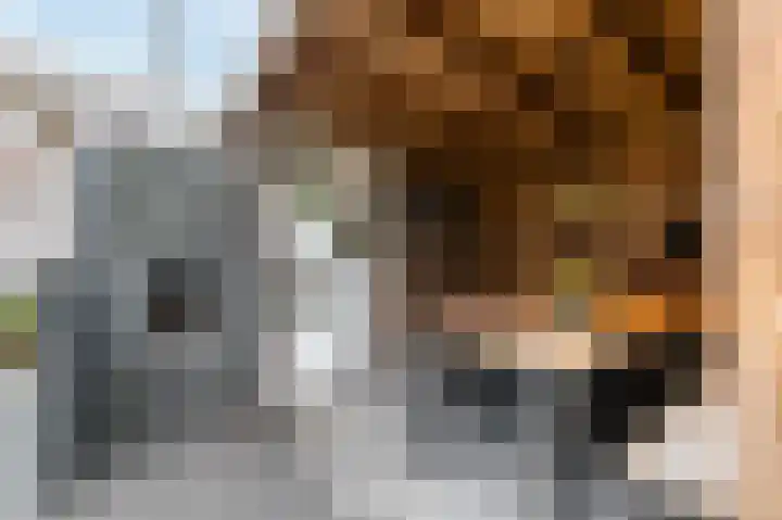 Merensteinplein 4 Beek en Donk thumbnail 5
