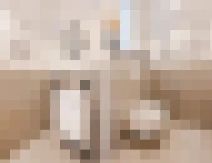 Merensteinplein 4 Beek en Donk thumbnail 9