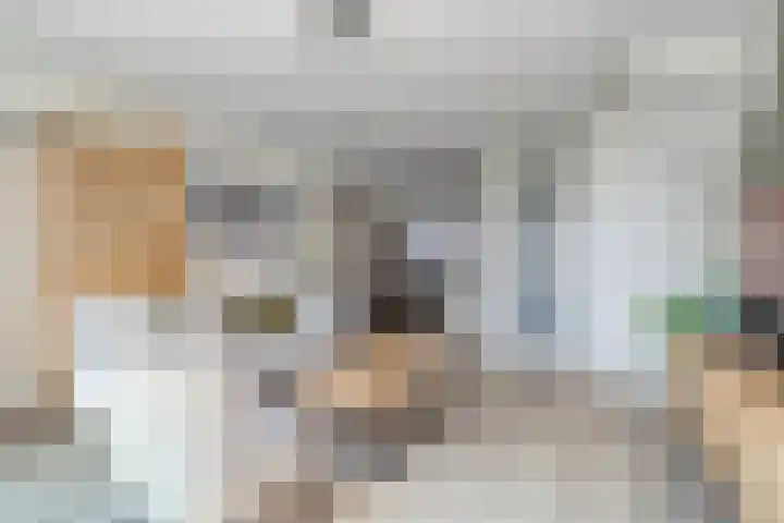 Merensteinplein 5 Beek en Donk thumbnail 12