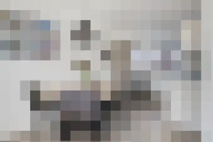 Merensteinplein 5 Beek en Donk thumbnail 13