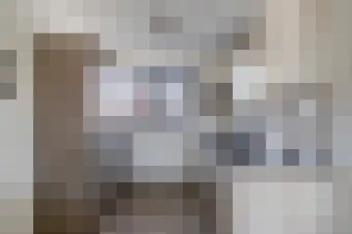 Merensteinplein 5 Beek en Donk thumbnail 14