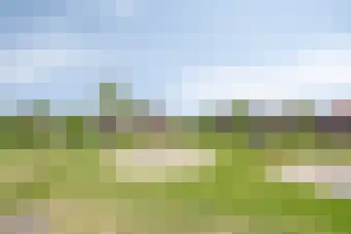 Merensteinplein 5 Beek en Donk thumbnail 33