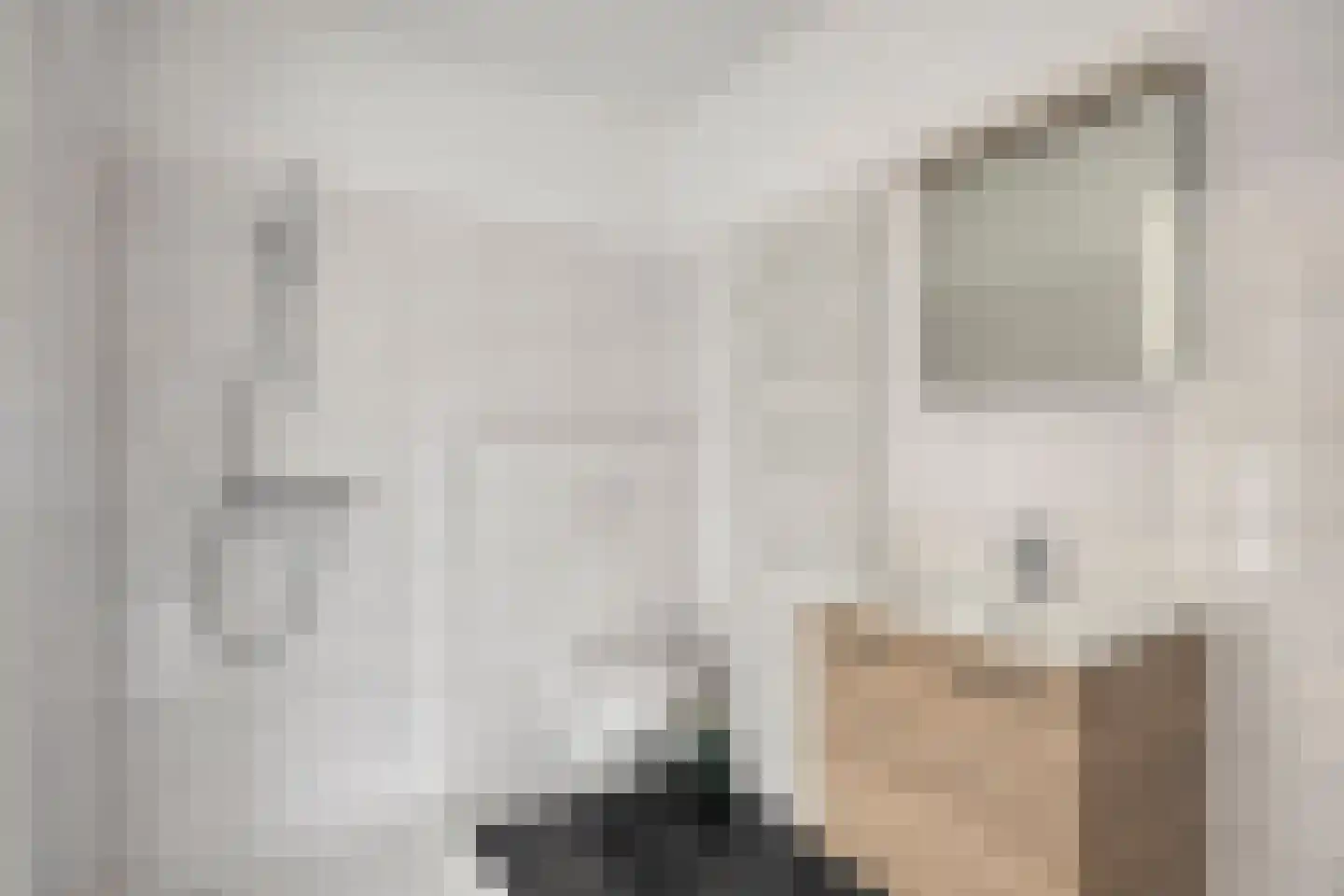 Merensteinplein 53 Beek en Donk thumbnail 21