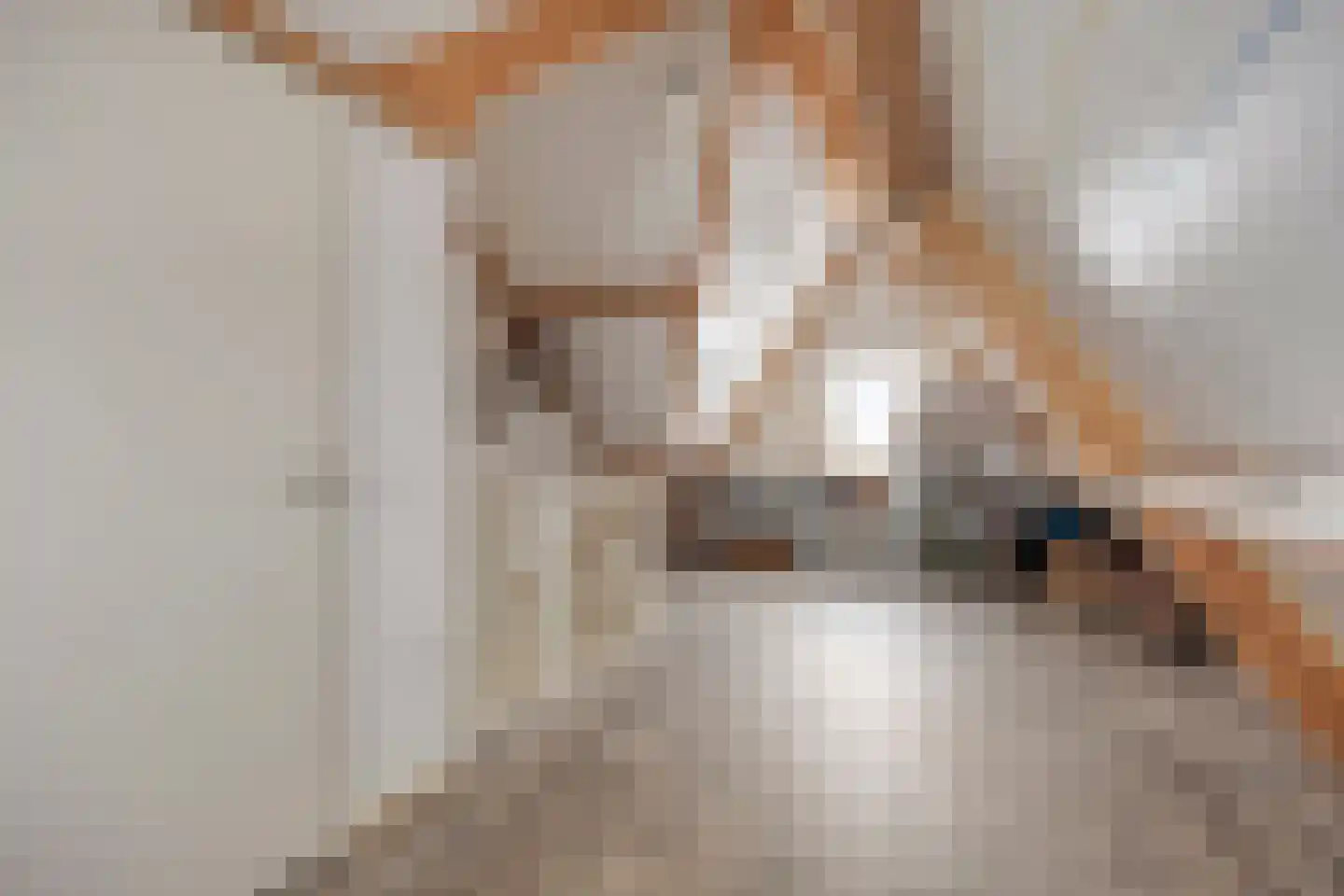 Merensteinplein 53 Beek en Donk thumbnail 22
