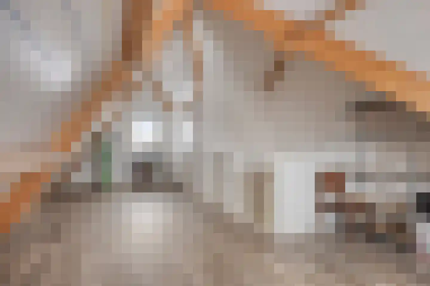 Merensteinplein 53 Beek en Donk thumbnail 23