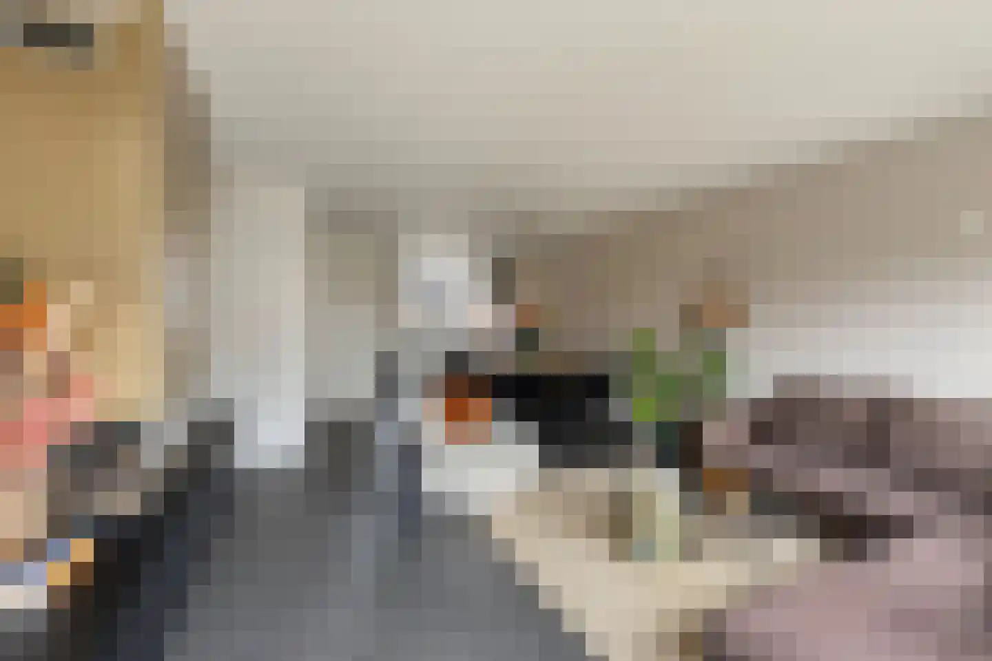 Merensteinplein 8 Beek en Donk thumbnail 11