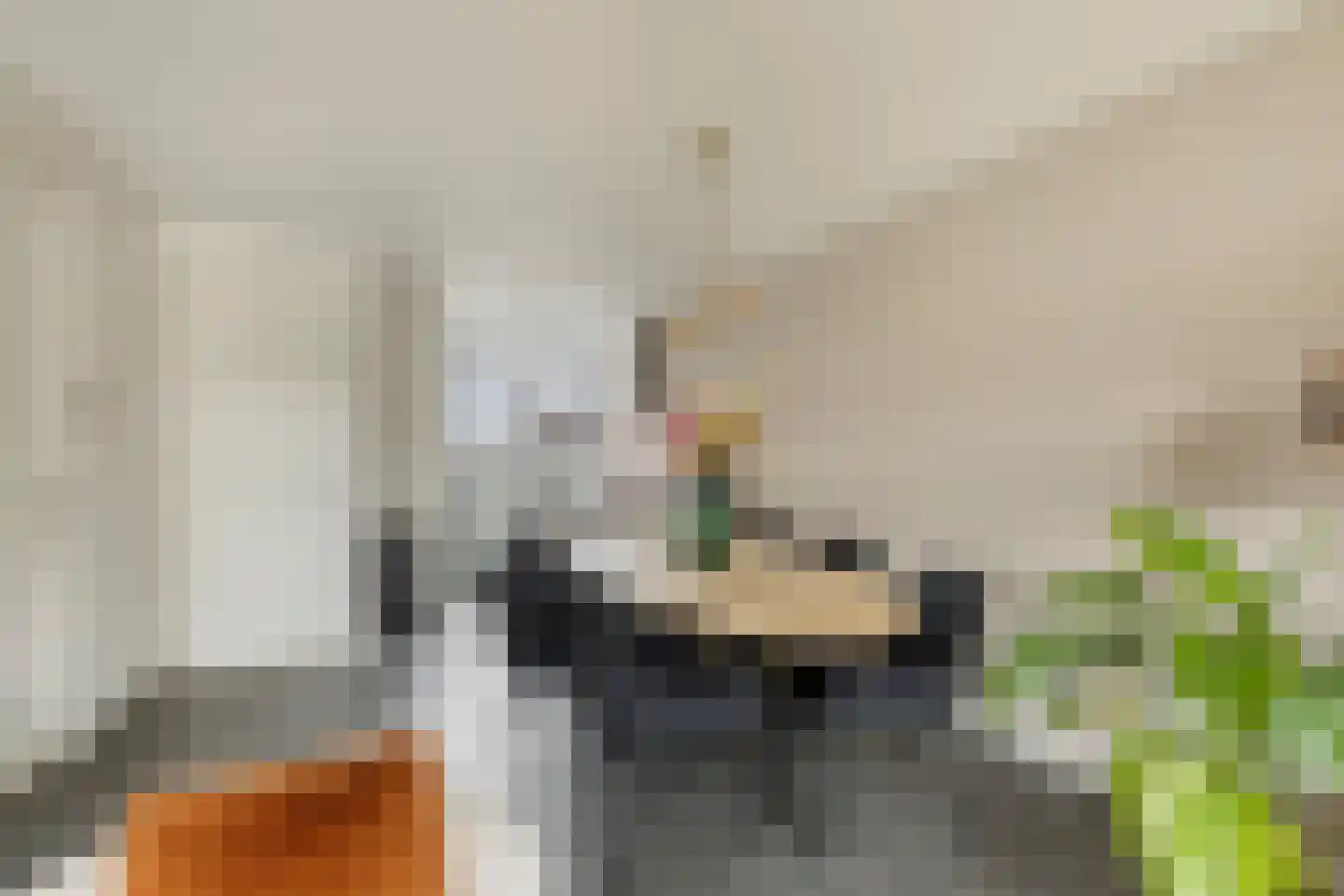 Merensteinplein 8 Beek en Donk thumbnail 13