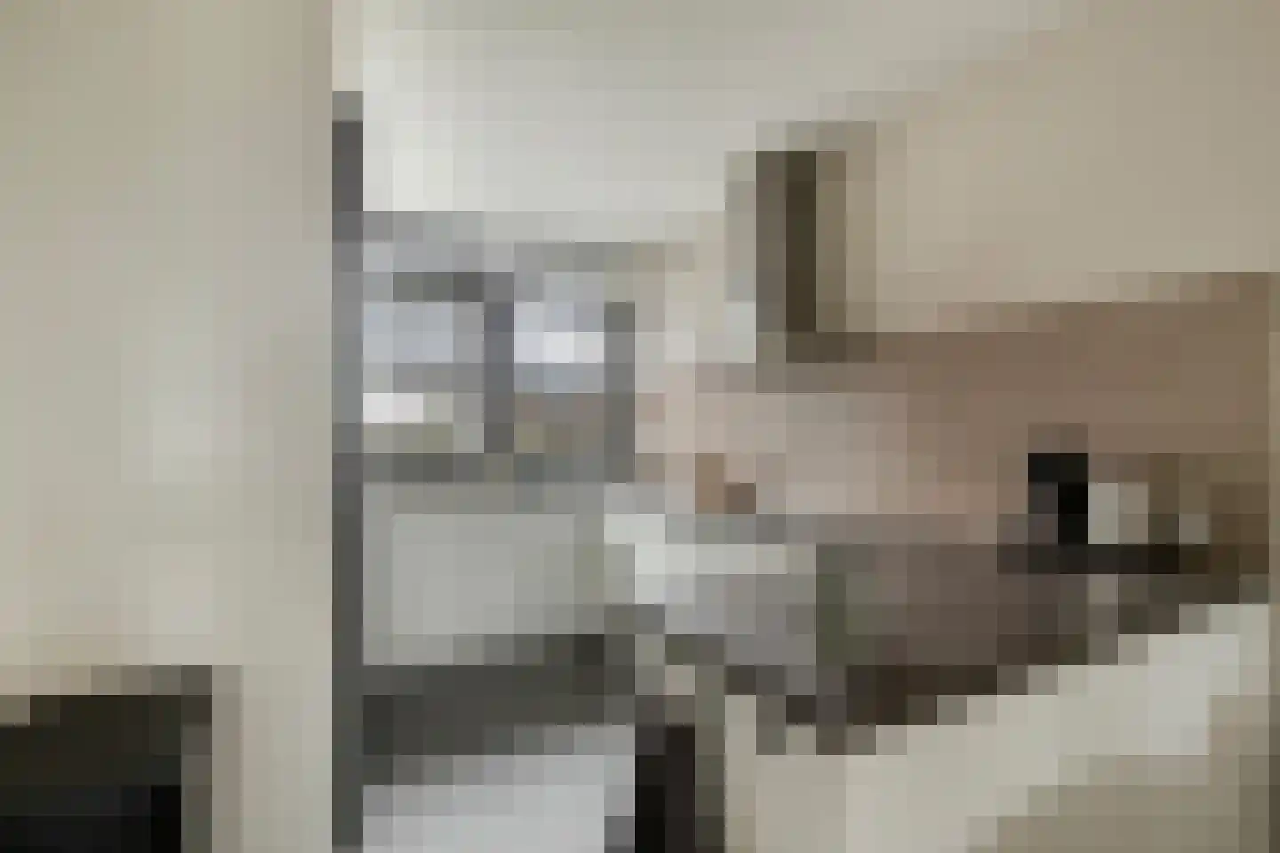 Merensteinplein 8 Beek en Donk thumbnail 15
