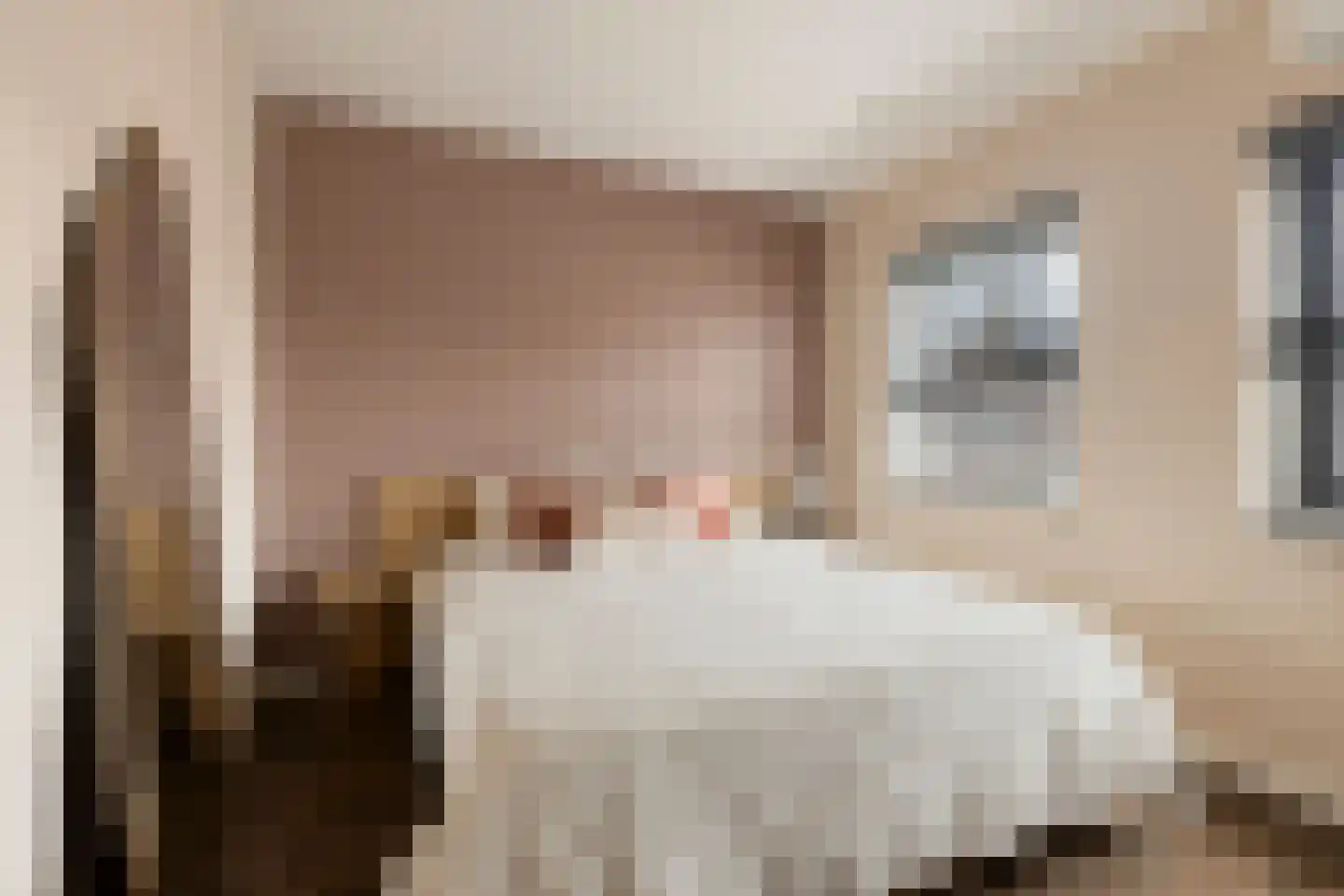 Merensteinplein 8 Beek en Donk thumbnail 19