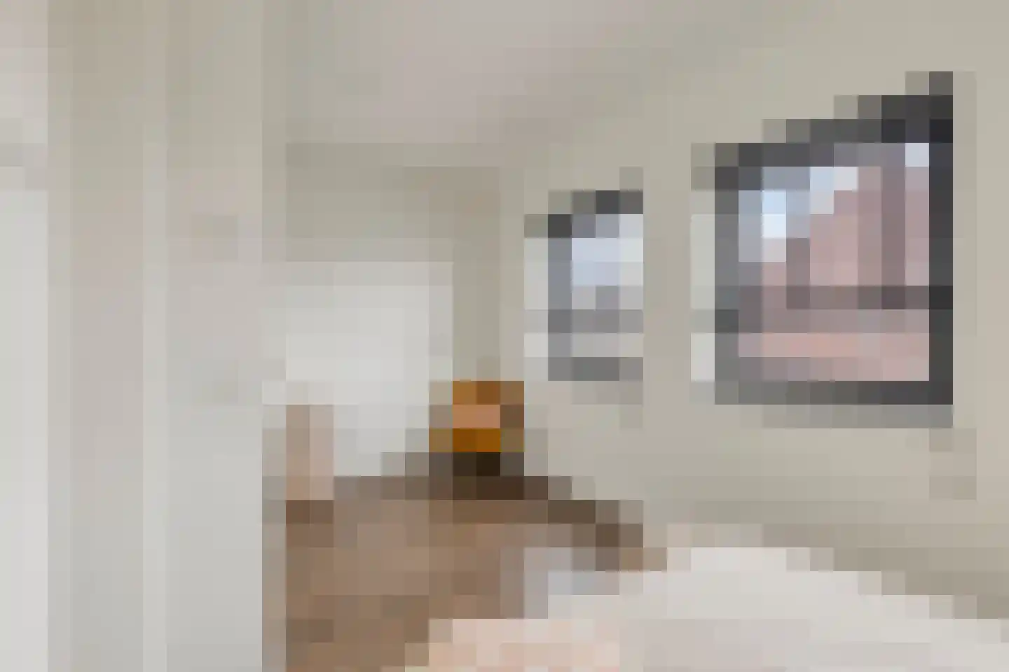Merensteinplein 8 Beek en Donk thumbnail 27