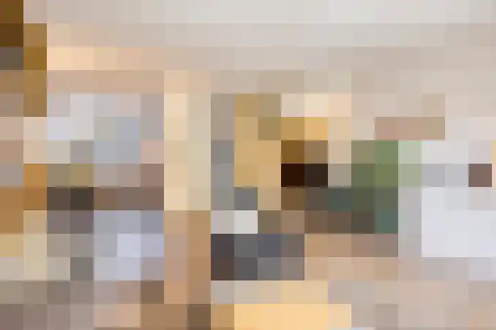 Merensteinplein 9 Beek en Donk thumbnail 10