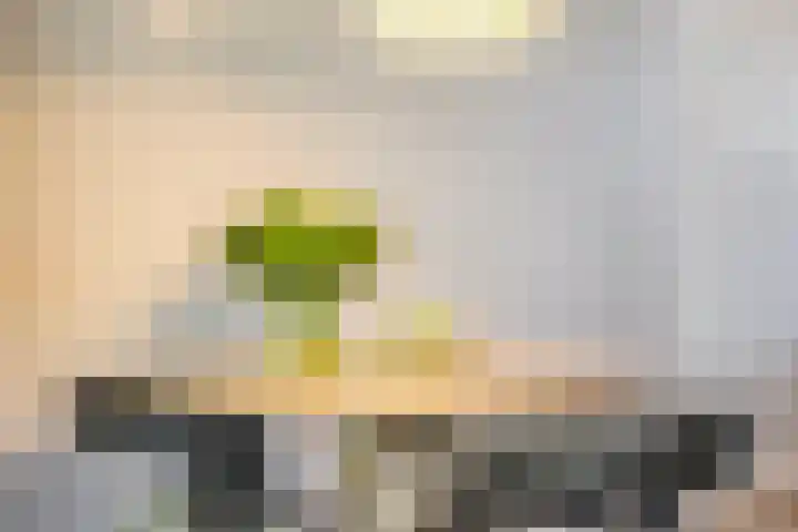 Merensteinplein 9 Beek en Donk thumbnail 12
