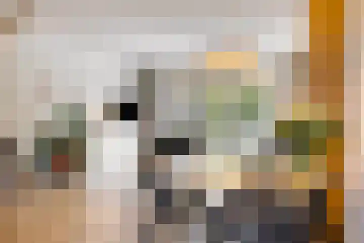 Merensteinplein 9 Beek en Donk thumbnail 13