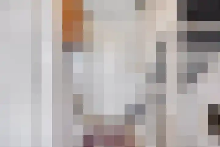 Merensteinplein 9 Beek en Donk thumbnail 18