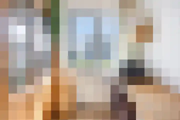 Merensteinplein 9 Beek en Donk thumbnail 24