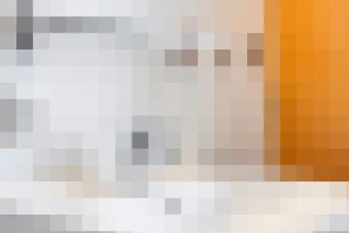 Merensteinplein 9 Beek en Donk thumbnail 28