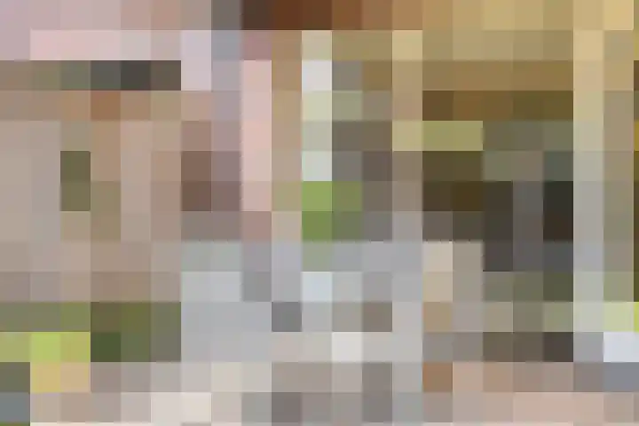 Merensteinplein 9 Beek en Donk thumbnail 34