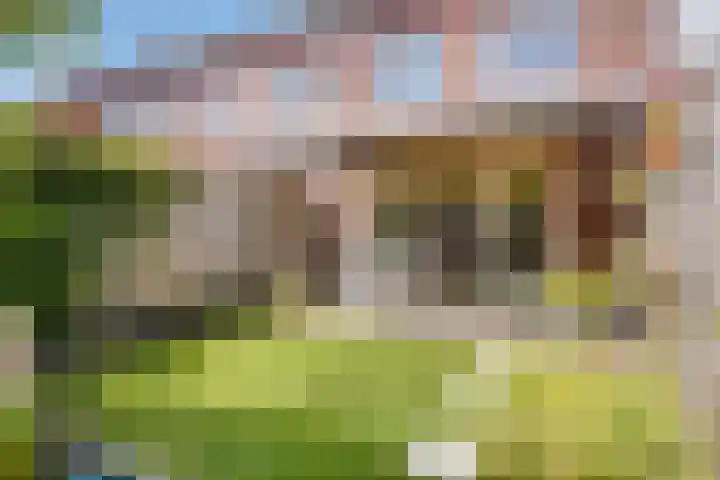 Merensteinplein 9 Beek en Donk thumbnail 35