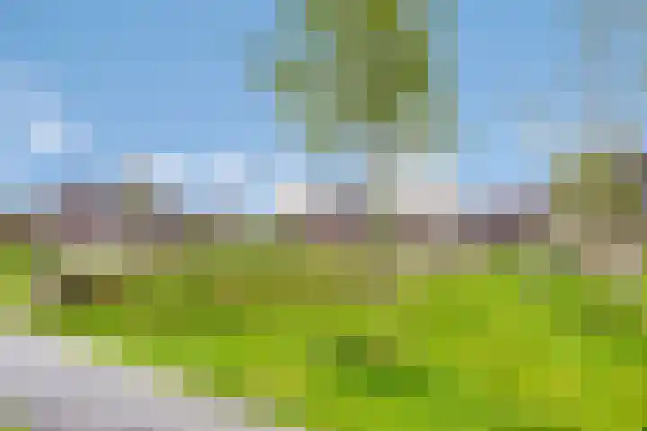 Merensteinplein 9 Beek en Donk thumbnail 39