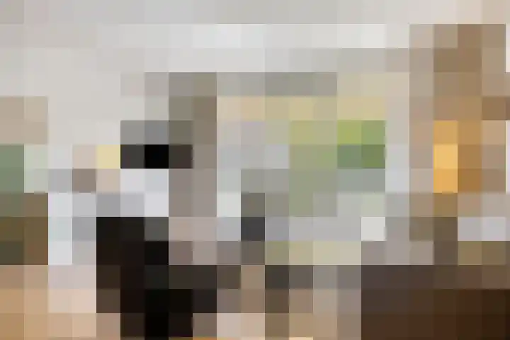 Merensteinplein 9 Beek en Donk thumbnail 8