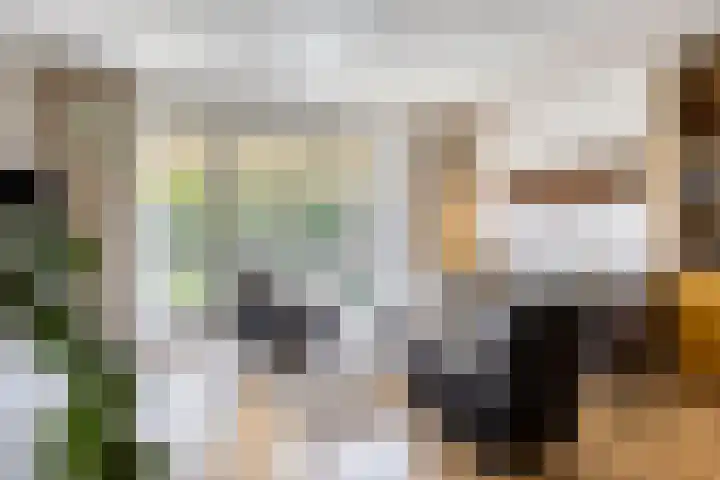Merensteinplein 9 Beek en Donk thumbnail 9