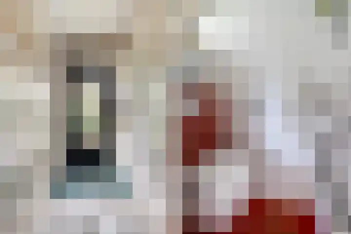 Meresteijn 1 Maasland thumbnail 10