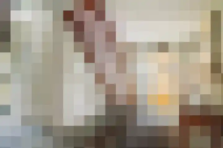 Meresteijn 1 Maasland thumbnail 11