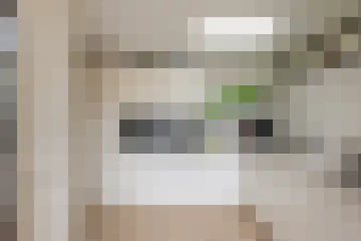 Meresteijn 1 Maasland thumbnail 14