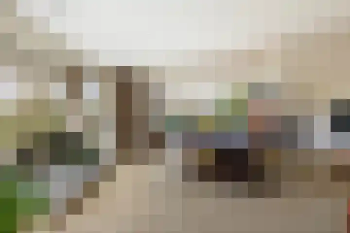 Meresteijn 1 Maasland thumbnail 18