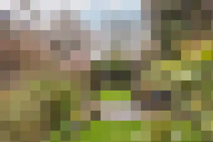 Meresteijn 1 Maasland thumbnail 23