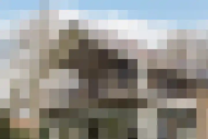 Meresteijn 1 Maasland thumbnail 24
