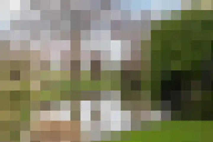 Meresteijn 1 Maasland thumbnail 25