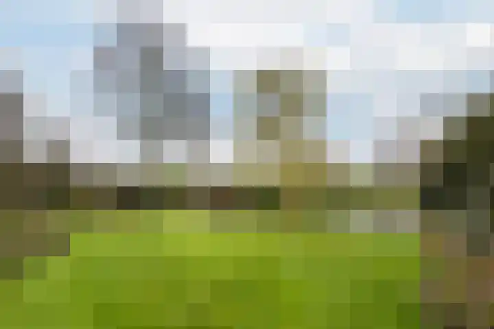Meresteijn 1 Maasland thumbnail 30