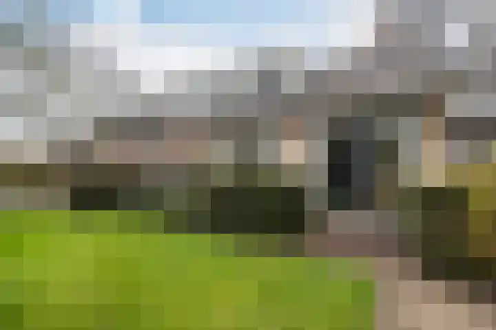 Meresteijn 1 Maasland thumbnail 33