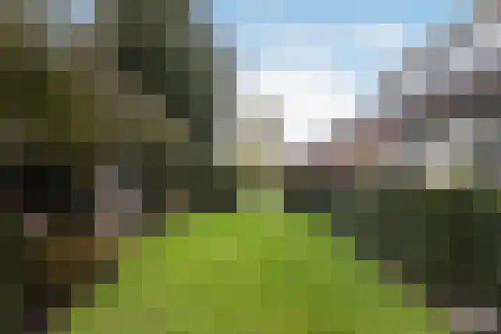 Meresteijn 1 Maasland thumbnail 34