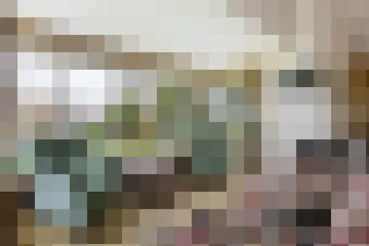 Meresteijn 1 Maasland thumbnail 36
