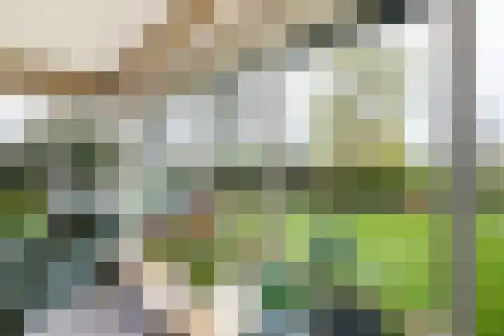 Meresteijn 1 Maasland thumbnail 38
