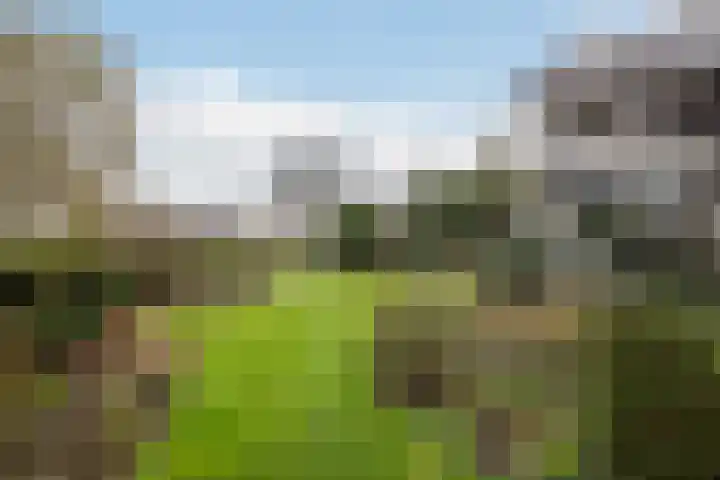 Meresteijn 1 Maasland thumbnail 4