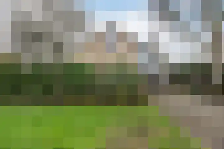 Meresteijn 1 Maasland thumbnail 5