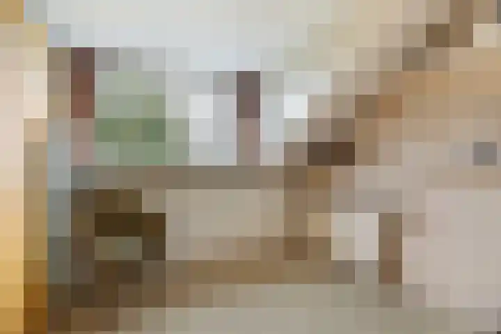 Meresteijn 1 Maasland thumbnail 57