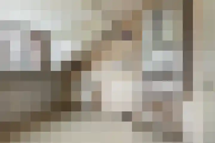 Meresteijn 1 Maasland thumbnail 58