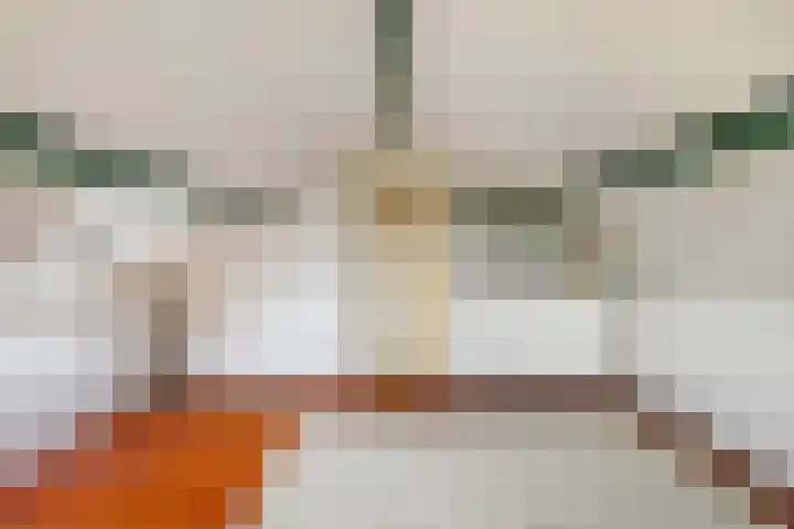 Meresteijn 1 Maasland thumbnail 60