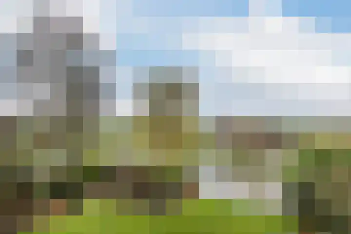 Meresteijn 1 Maasland thumbnail 65