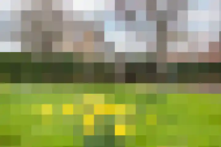 Meresteijn 1 Maasland thumbnail 7