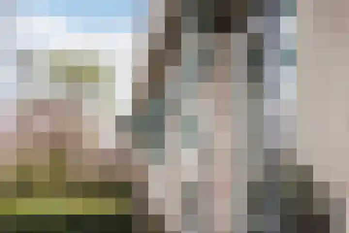 Meresteijn 1 Maasland thumbnail 9