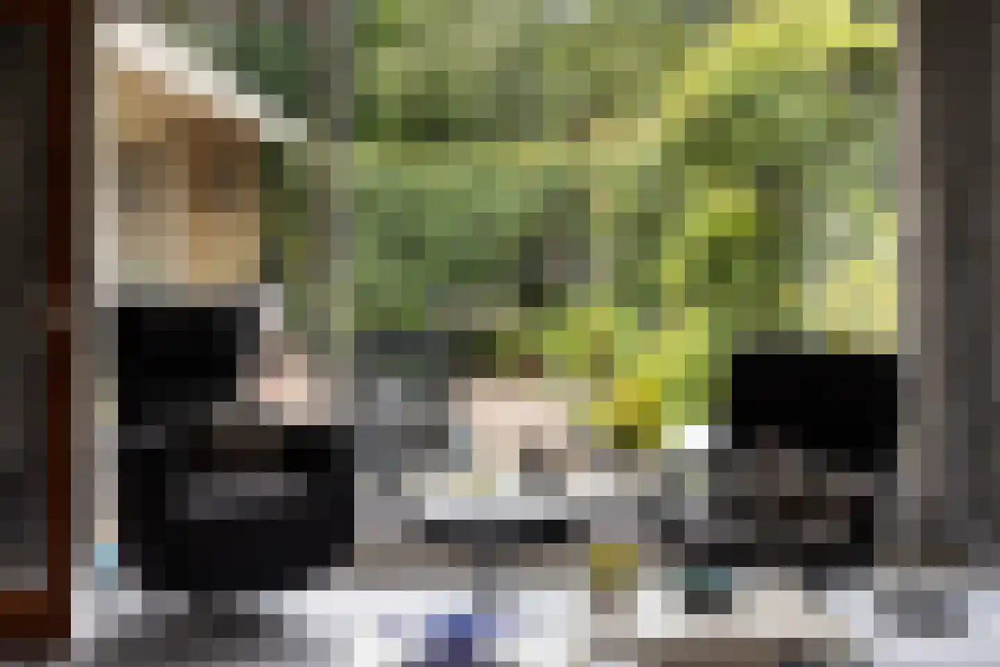 Meresteijn 7 Maasland thumbnail 16