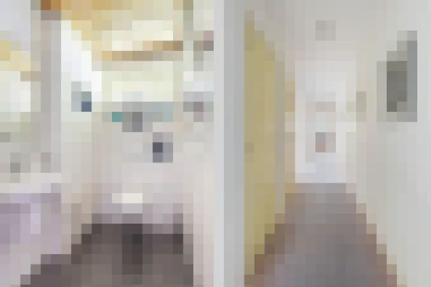 Meresteijn 7 Maasland thumbnail 27