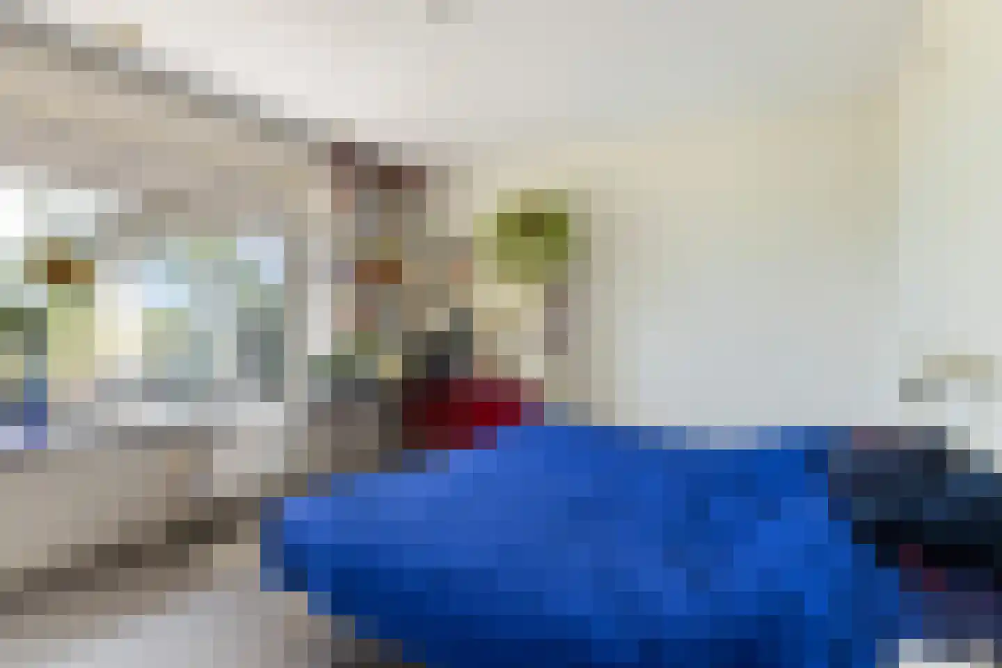 Meresteijn 7 Maasland thumbnail 32