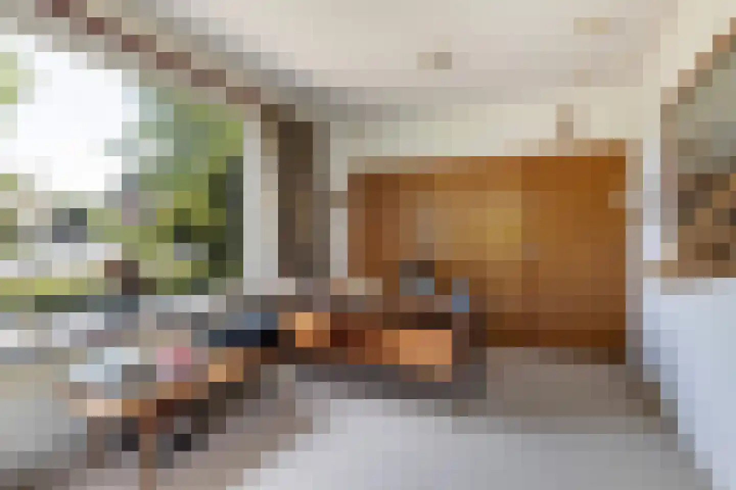Meresteijn 7 Maasland thumbnail 34